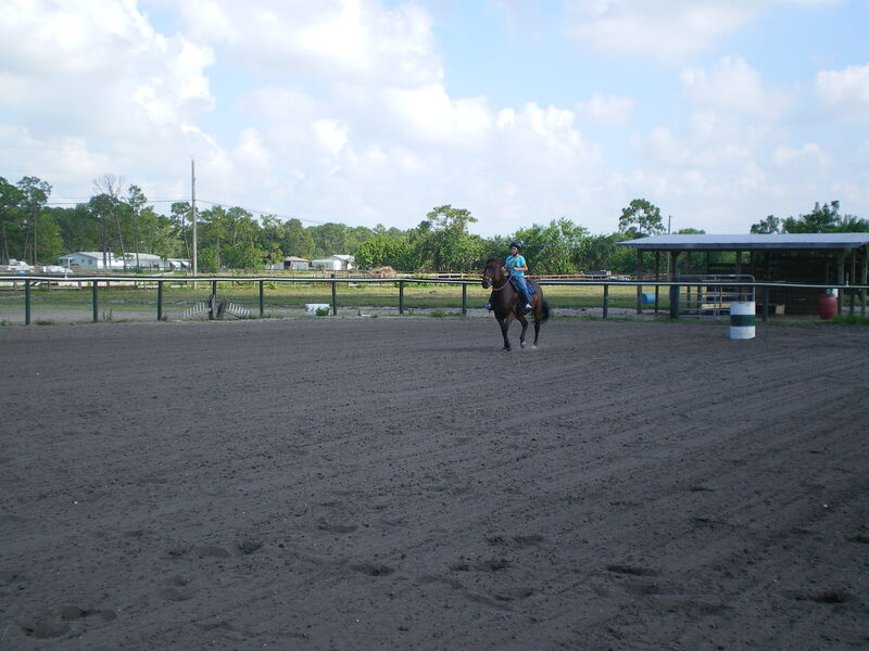 Show day
