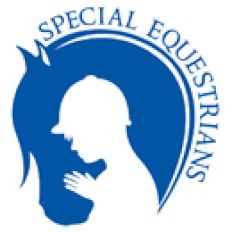 Special Equestrians artwork