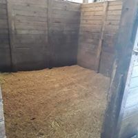 A 12 by 12 stall